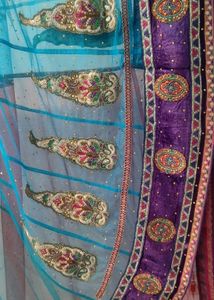 Grand Netted Saree