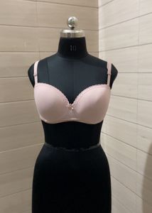 Secret Possession Imported Light Pink Bra