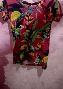 Night Drees
