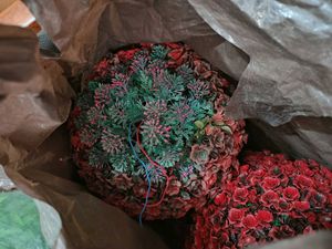 Artificial Grass Rose Flower Topiary Lamp Balls