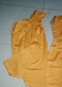 Fency Suit
