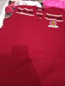 Dav Public School Sweater