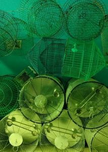 Parrot  Birds Rabbit Cat Etc Cage Pijara Cag