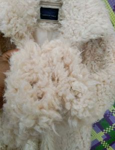 Faux Fur Coat