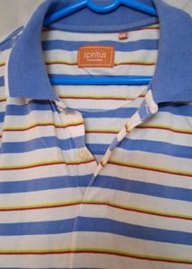 SPIRIT Stripe Polo Shirt
