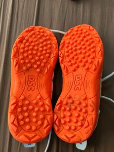 DSC Sports Shoes