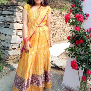 Banarasi Lehenga Choli