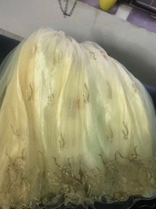 Elegant Lehenga Choli