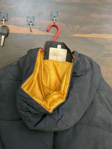 Stylish Black puffer Jacket