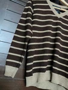 Men brown Striped V-Neck Sweater