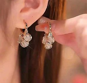 Elegant Drop Earrings