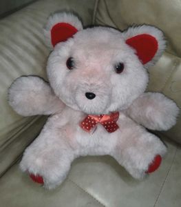 Teddy Bear Medium Size