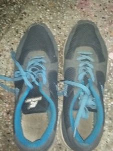 Sparx Running Shoes - Blue & Gray