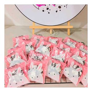 Mystery Bags (pack of 10)best for gifting