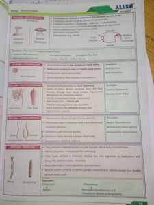 Allen Biology NCERT Fast Track - Used