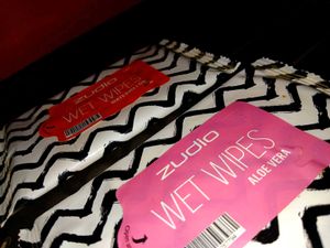 Zudio Wet Wipes Combo (Aloevera And Watermelon)