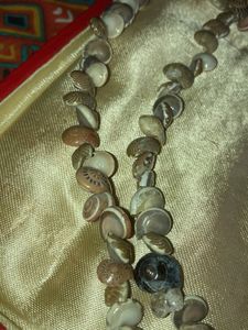 seashell necklace🫧🐚🌊🧜🏻‍♀️