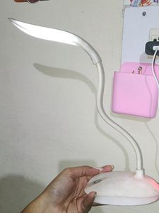 Electric Study Lamp