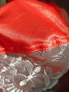 36B Embroidery Bra 🍑