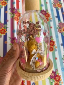 Teddy Bear Dome Showpiece