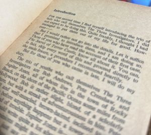 The mysterious the slutterring parrot Book