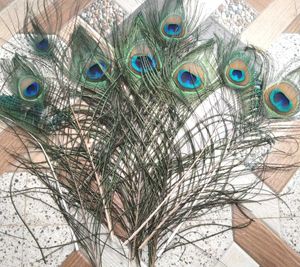 Natural Peacock Feather(15 Feathers)