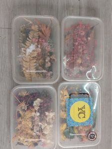 Dried Flowers For Resin
