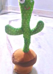 Dancing Cactus 🌵