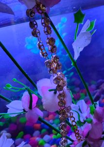 Very Preety Golden Waist Chain