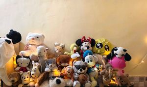 Plush Toy Collection/ Bundle