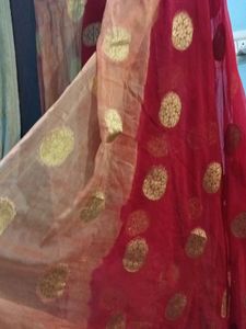 Light Saree