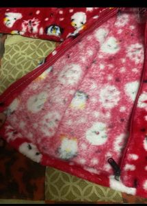 Cute Penguin Print Pajama Set