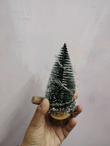 Miniature Christmas Tree✨