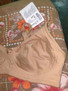 Beige Everyday Bra - Size 36C