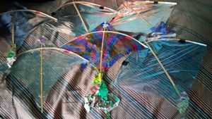 Kite Umbrella