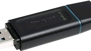Kingston DataTraveler 64 GB Pen Drive