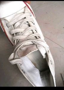 White Converse Sneakers