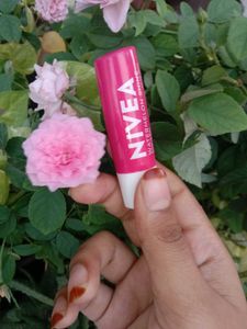 Nivea Watermelon Shine Lip Balm