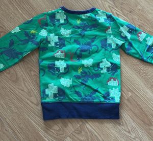 Boys Green Dragon Sweatshirt