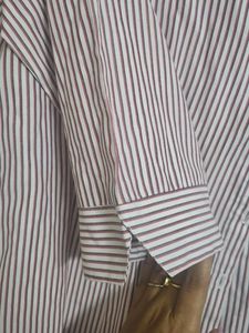 New Striped Button-Down Shirt
