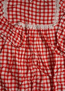 Red &amp; White Checkered Top