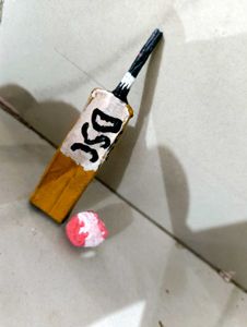 Miniature DSC Cricket Bat Keychain Handmade
