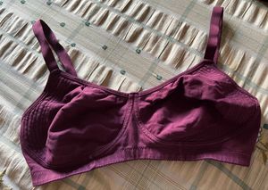 Purple Bra