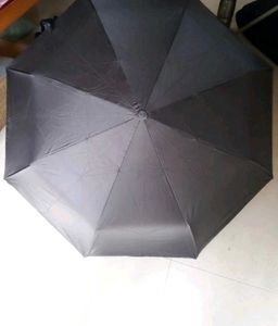 Umbrella