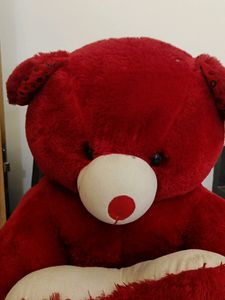 Premium Quality Teddy Bear