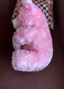 LIGHT PINK 🧸 TEDDY