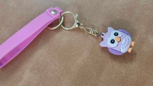 Cute Owl Keychain with &#34;Good Luck&#34; Strap