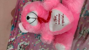 Pink Teddy Bear - &#34;For Someone Special&#34;