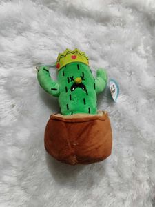 Imported Cactus🌵 Softtoy plushies