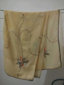 Saree (Pure Georgette)
